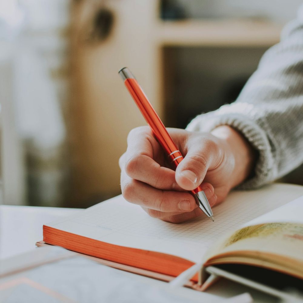 CV/ Resume checks